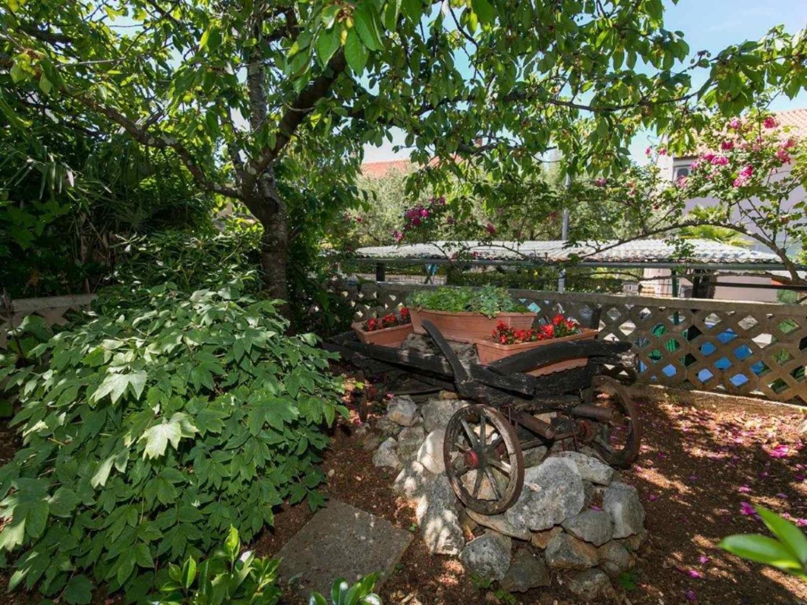 Apartments Loredana Poreč Kültér fotó